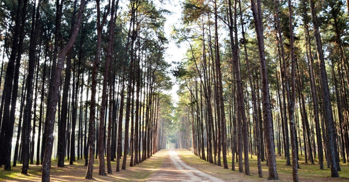 BGE dans les Landes